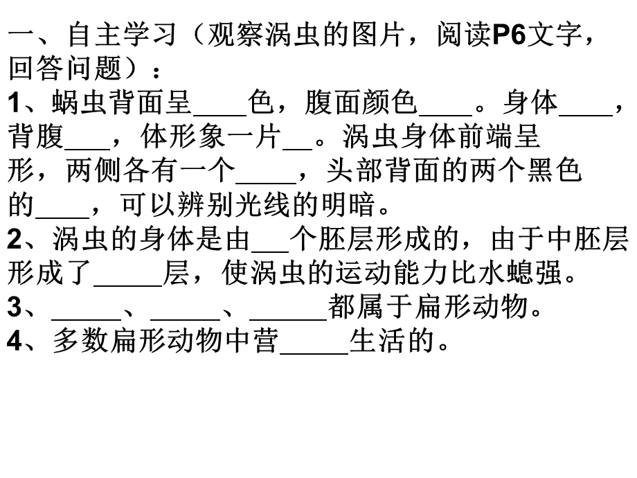 腔肠动物和扁形动物培训.ppt_第2页