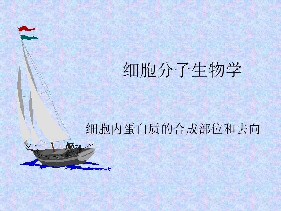 细胞内蛋白质的合成部位和去向.ppt_第1页