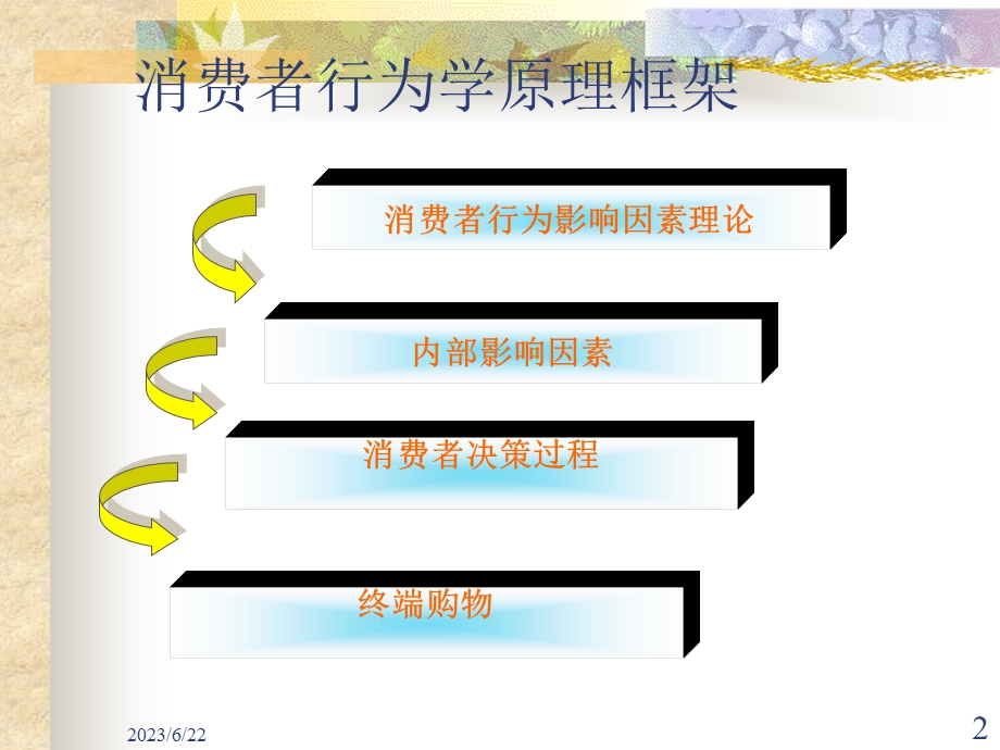 消费者行为学原理.ppt_第2页