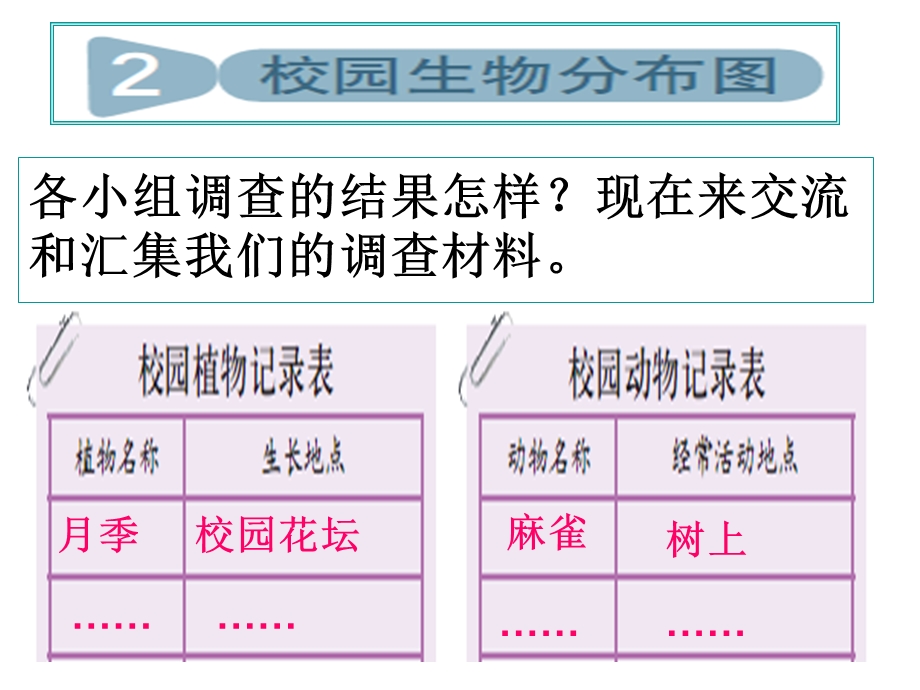 校园生物分布图.ppt_第1页