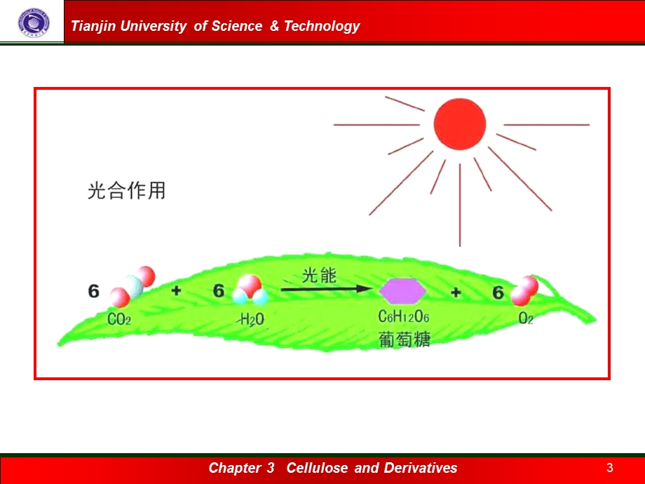 纤维素及其衍生物.ppt_第3页