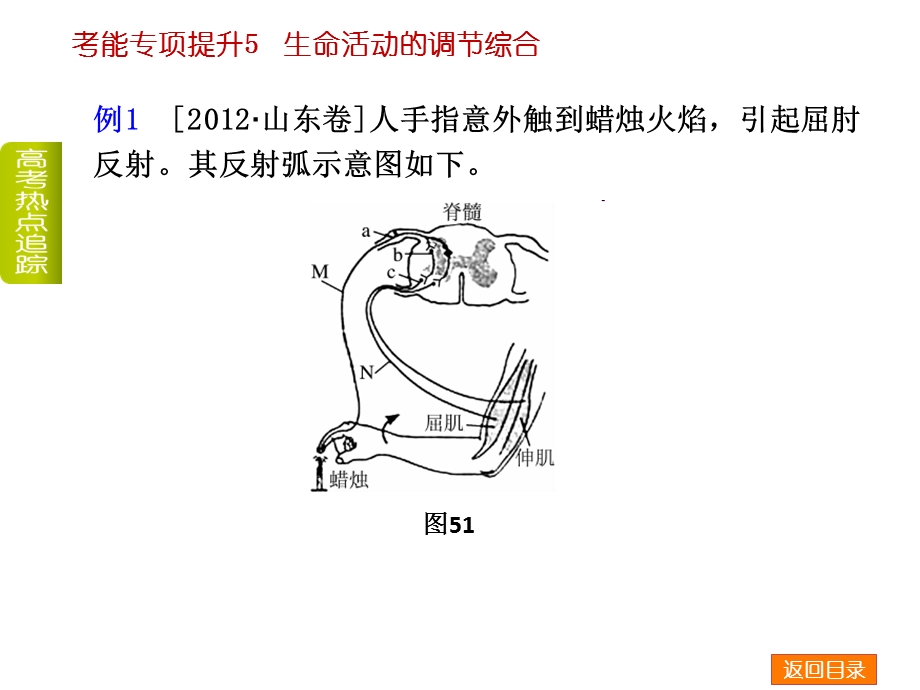 生命活动的调节综合(共59张PPT).ppt_第3页