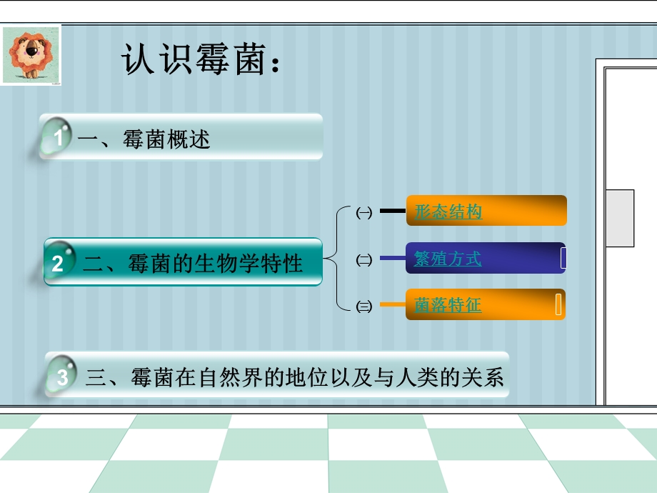 霉菌完结版(第四组).ppt_第2页