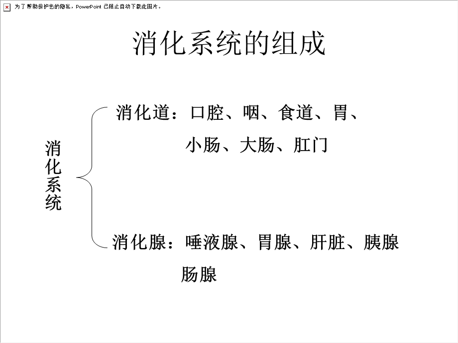 消化系统组成及结构.ppt_第3页