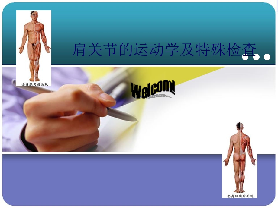 肩区运动学lmy.ppt_第1页