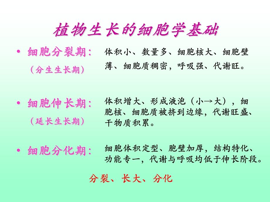 植物的生长发育及其调控.ppt_第3页