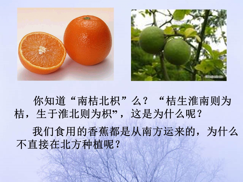 生物生存的环境.ppt_第3页