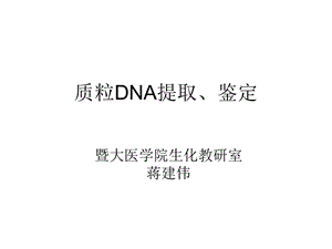 质粒DNA提取鉴定.ppt