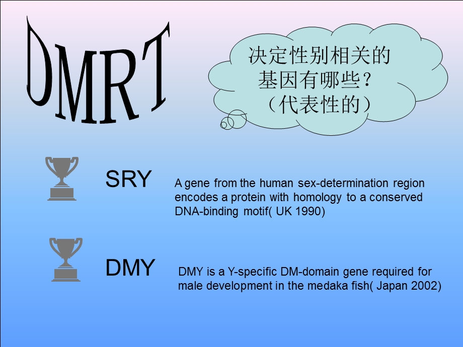 鱼类DMRT基因的研究进展.ppt_第1页