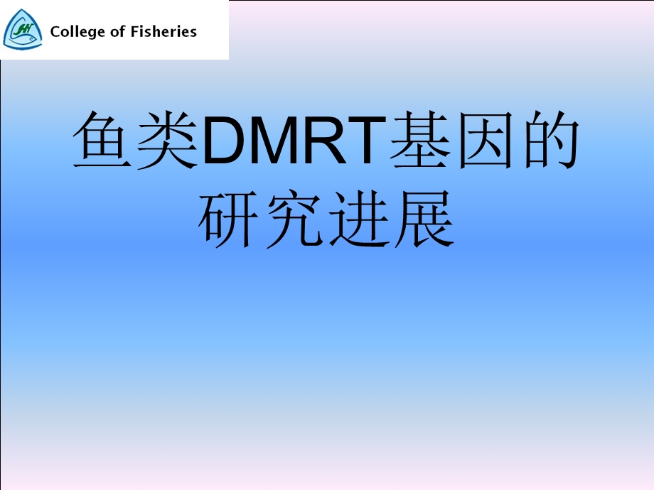 鱼类DMRT基因的研究进展.ppt_第2页