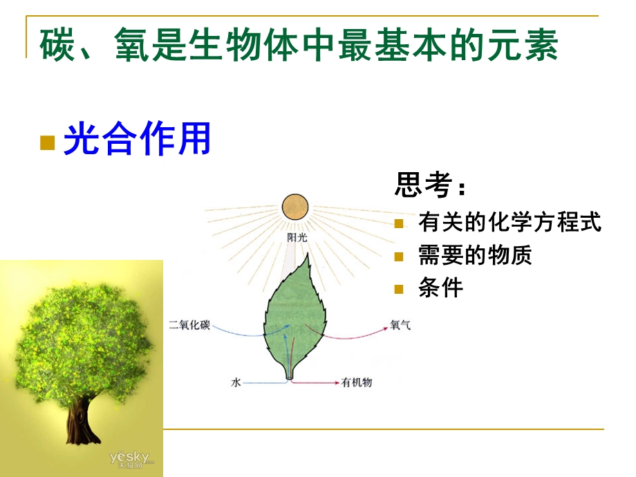 自然界中的碳循环和氧循环.ppt_第2页