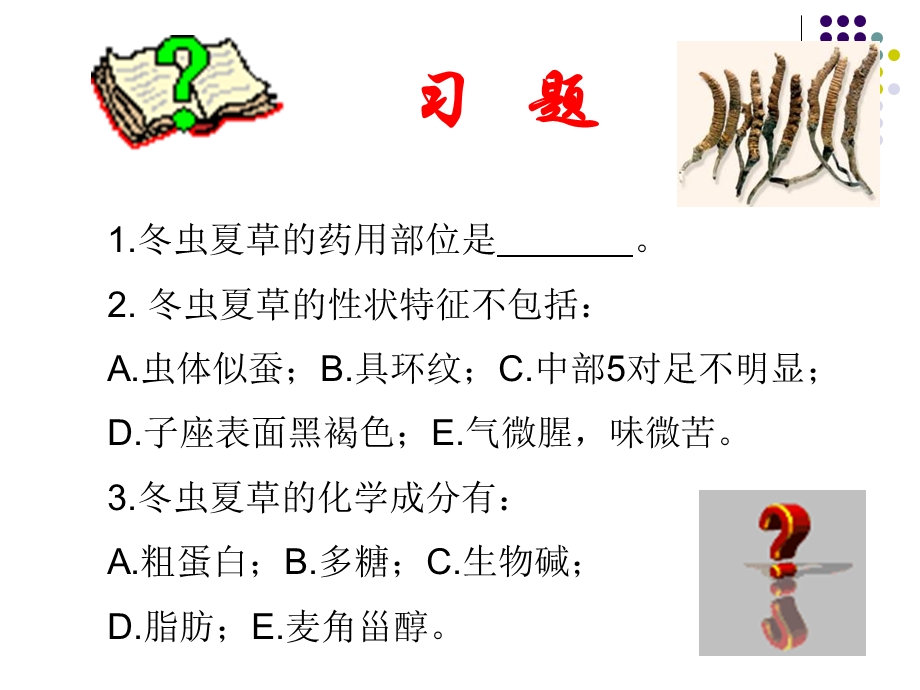 生药学植物类生药.ppt_第1页