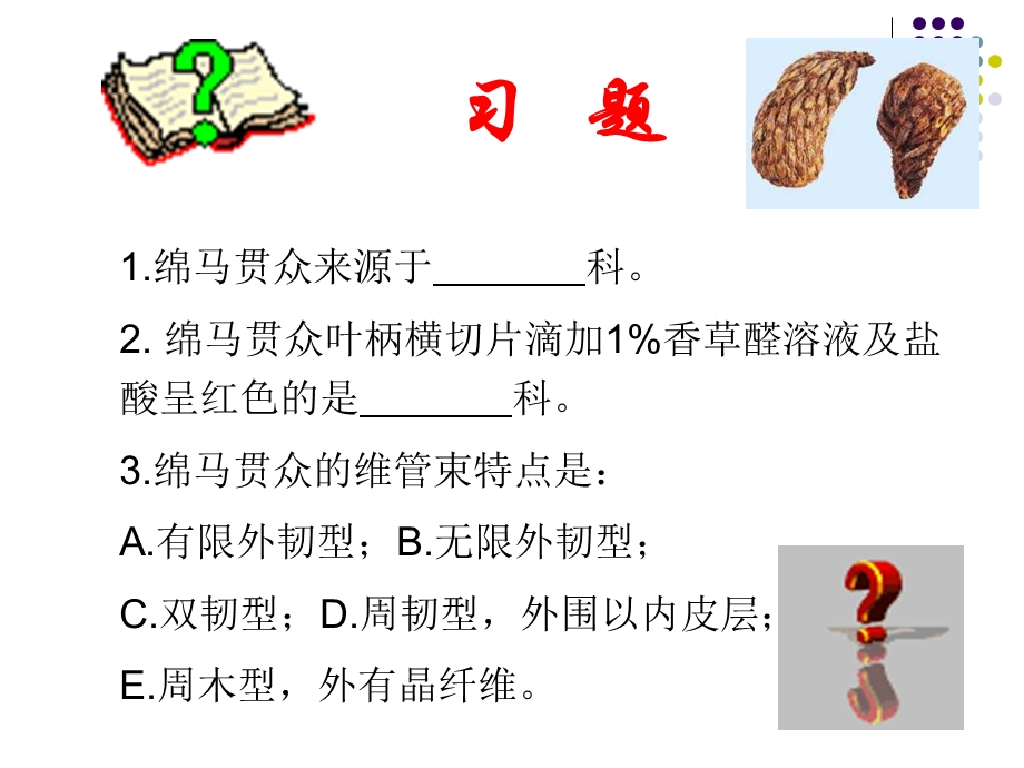 生药学植物类生药.ppt_第2页