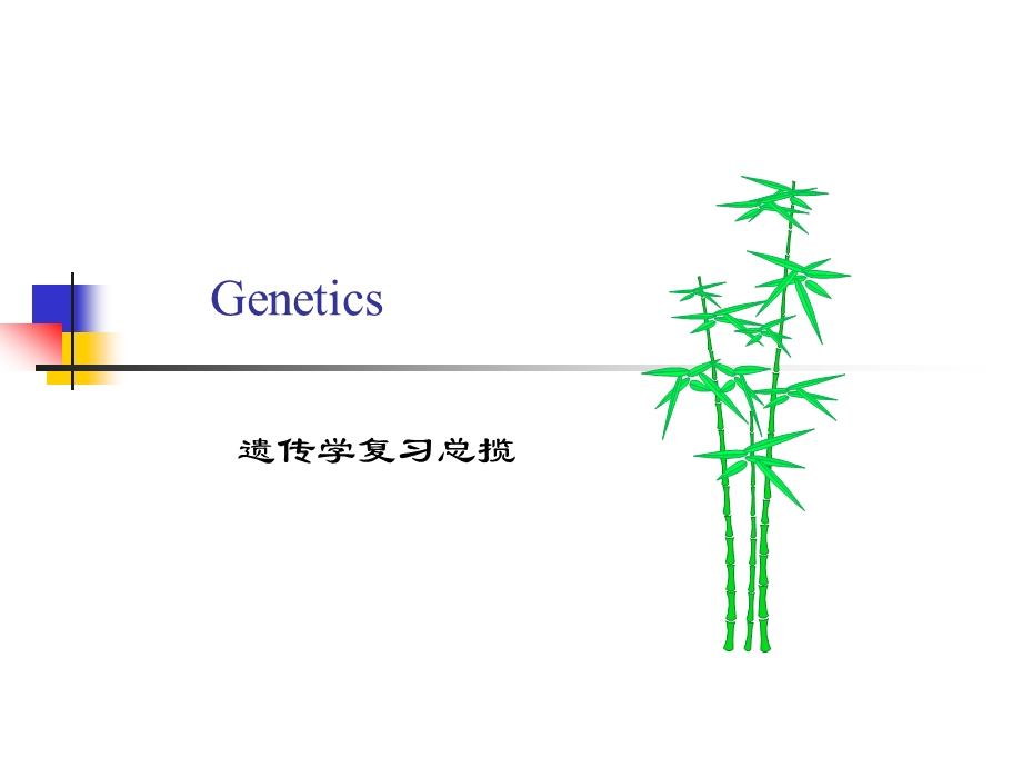 遗传学总揽生物.ppt_第1页