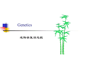 遗传学总揽生物.ppt