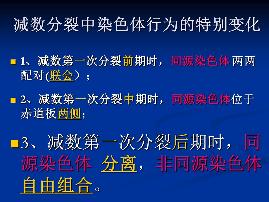 减数分裂VS有丝分裂.ppt_第2页