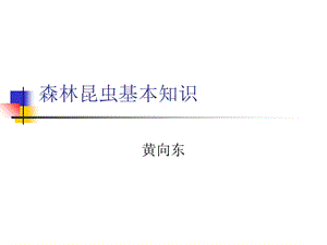 森林昆虫基本知识.ppt