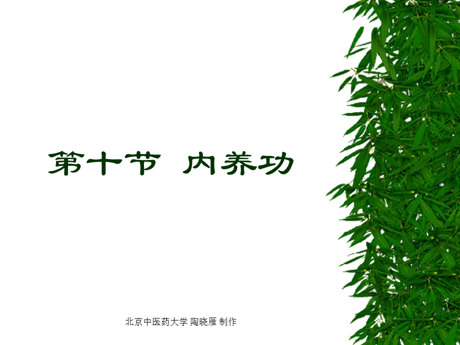 第十节内养功.ppt_第1页