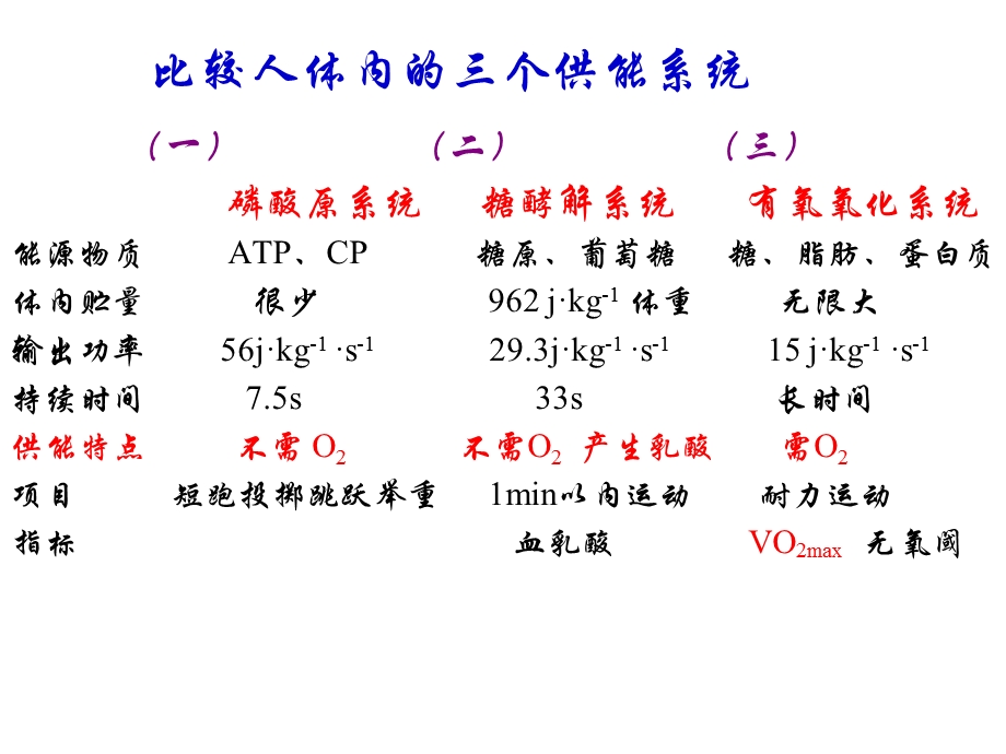 运动的能量代谢.ppt_第2页