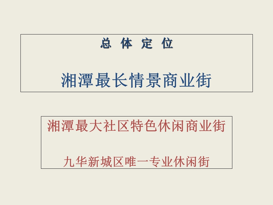 某商业街运营实施方案PPT(共68张).ppt_第2页