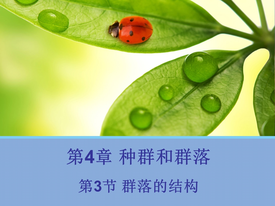 生物群落的结构.ppt_第1页