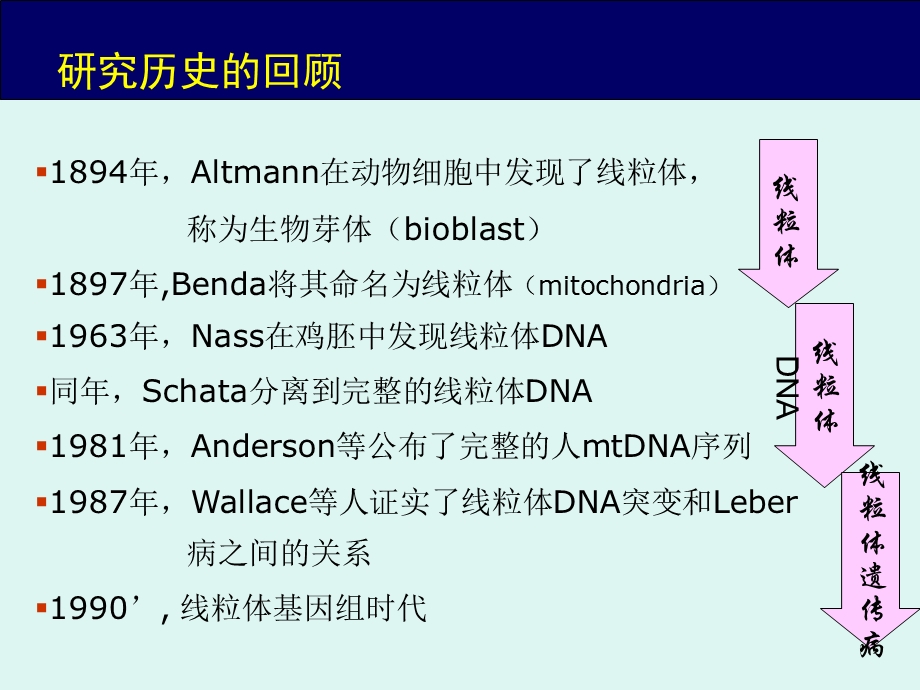 线粒体遗传病PPT.ppt_第2页