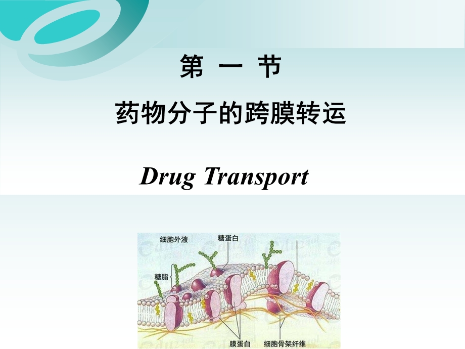 药理学第二章药物代谢动力学.ppt_第3页