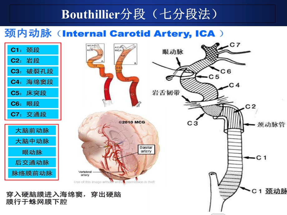 脑血管解剖及DSA阅片解读.ppt_第3页