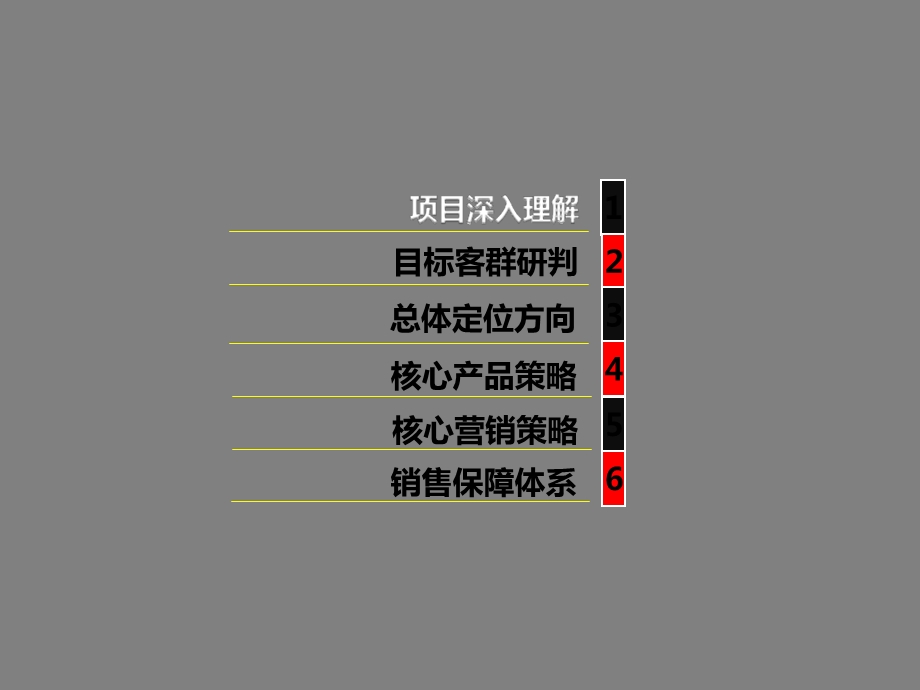 济南综合体项目定位报告及营销策略.ppt_第3页