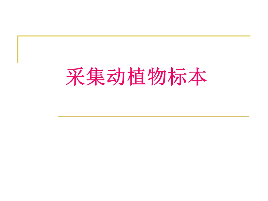 青岛版二年级数学第7单元信息窗1采集动植物标本.ppt