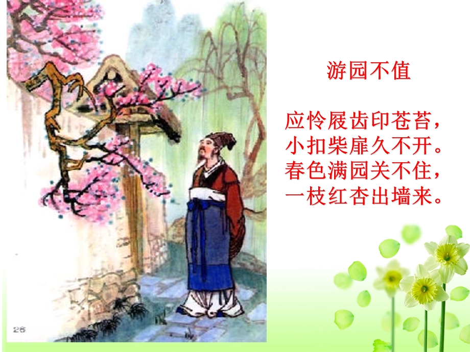 植物生长素的发现(公开课).ppt_第1页