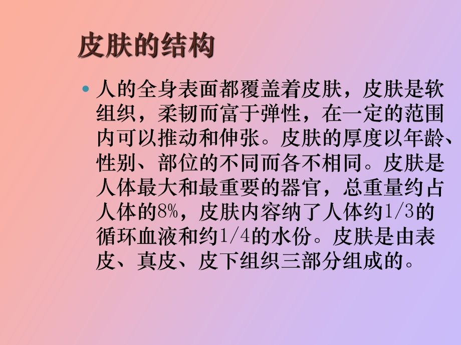 皮肤的结构与青春痘的关系.ppt_第2页