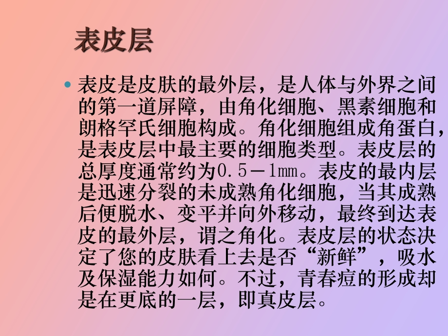 皮肤的结构与青春痘的关系.ppt_第3页