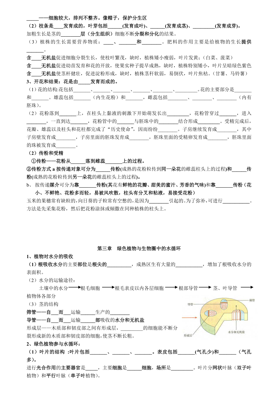 生物圈中有哪些绿色植物知识点过关.doc_第2页