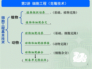 细胞工程张韶杰.ppt