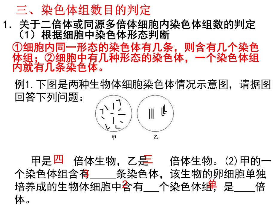 染色体组的理解与判断.ppt_第3页