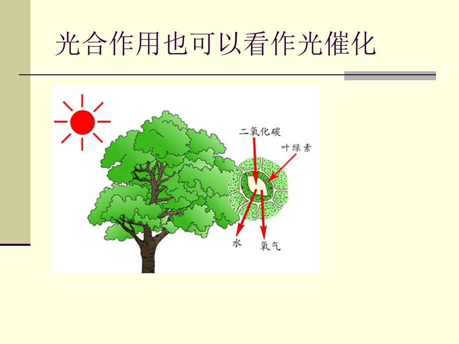 光催化技术.ppt_第3页