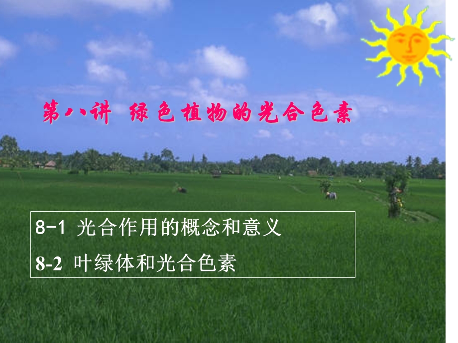 绿色植物的光合色素.ppt_第1页