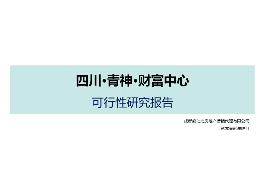 四川青神财富中心可行性研究报告96P.ppt_第1页