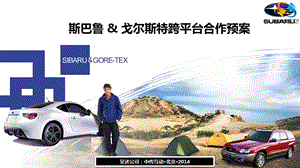 戈尔斯特项目预案ppt课件.ppt