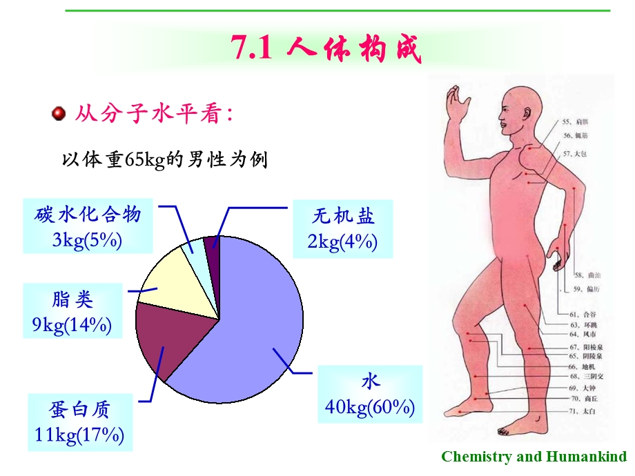 营养与化学元素.ppt_第3页