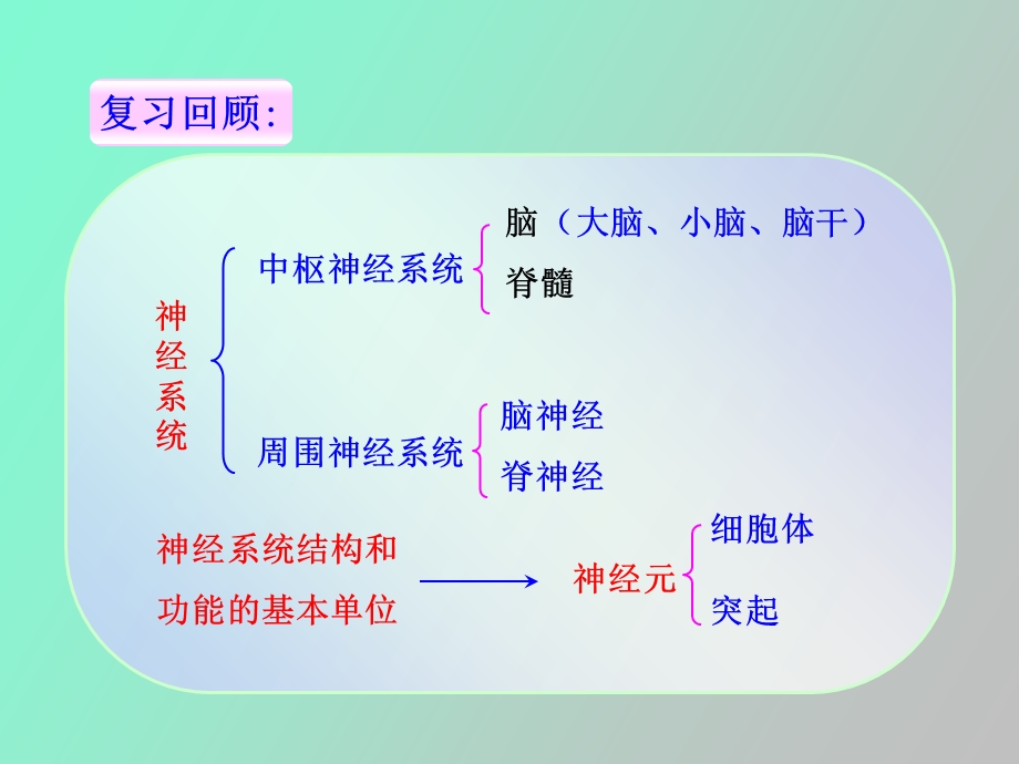 生命活动的调节.ppt_第3页