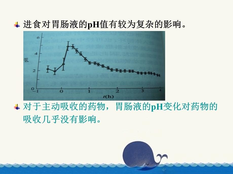 消化系统的影响.ppt_第3页