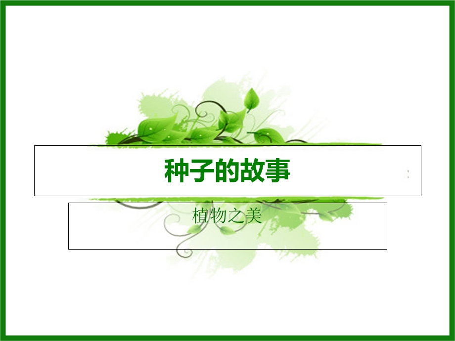 种子的故事·8饰品.ppt_第1页