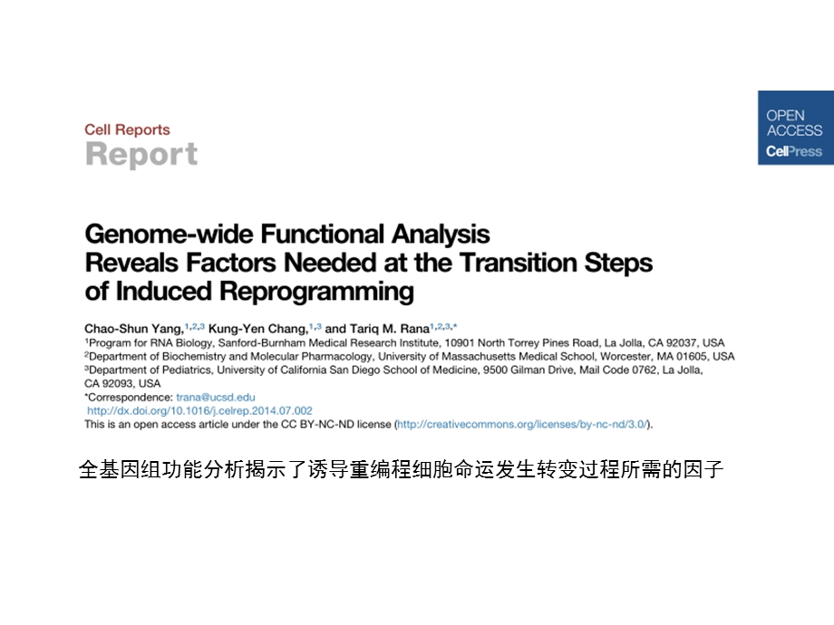 重编程过程全基因组RNAi筛查功能基因.ppt_第1页