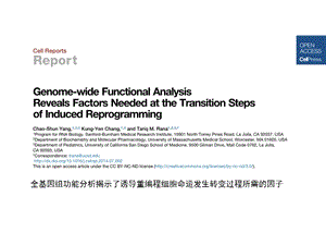 重编程过程全基因组RNAi筛查功能基因.ppt