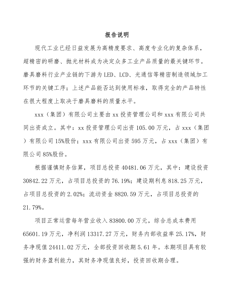 关于成立抛光材料公司可行性研究报告.docx_第2页