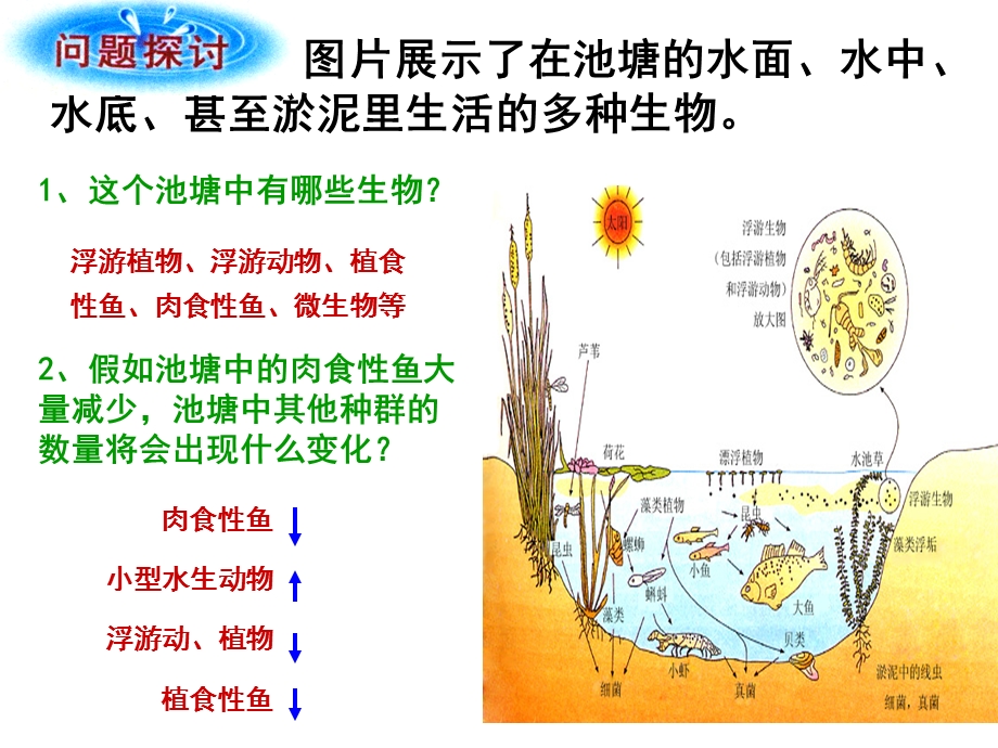 群落的结构(上课用).ppt_第2页