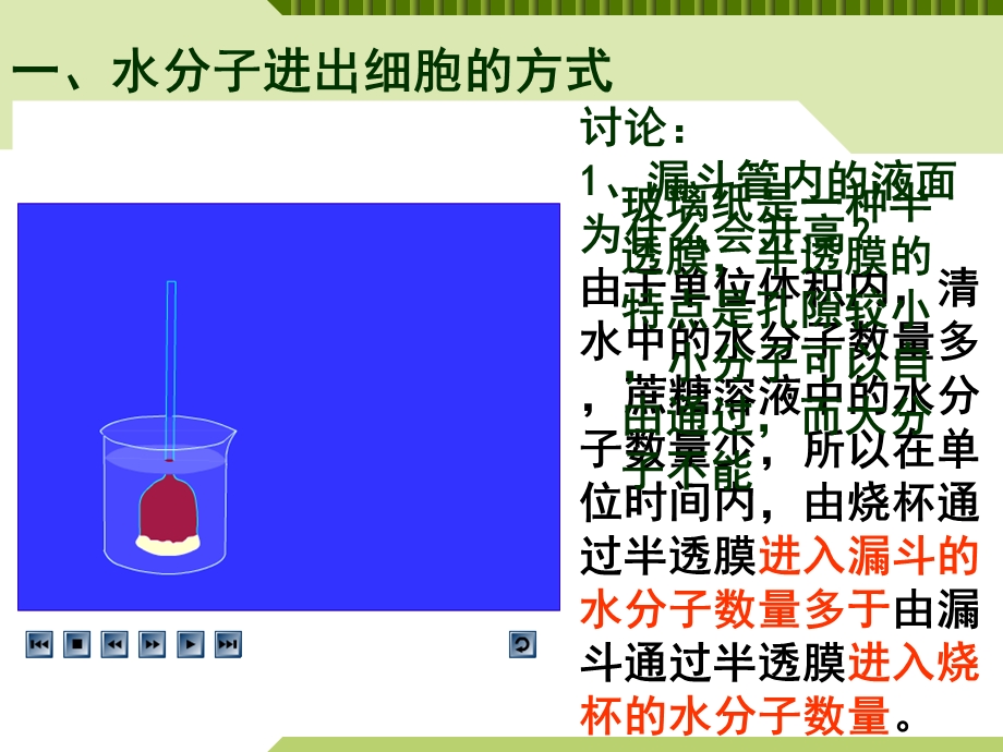 物质跨膜运输的实例(共27张PPT).ppt_第2页