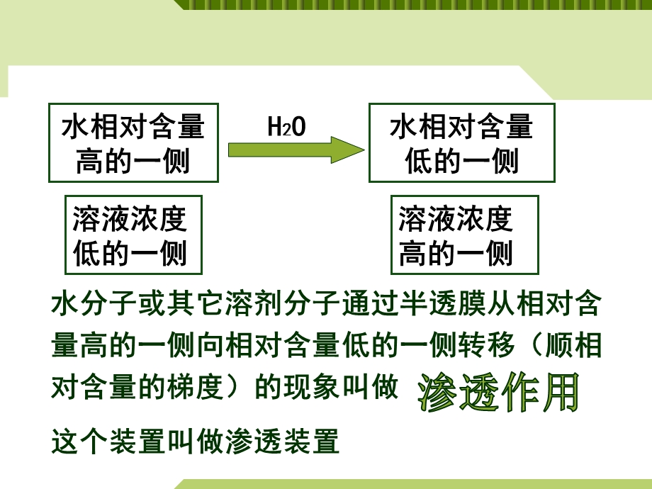 物质跨膜运输的实例(共27张PPT).ppt_第3页